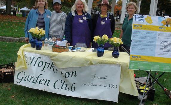 Planting Daffodils