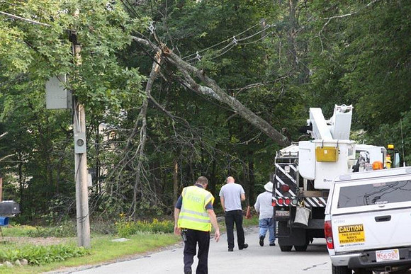 July 21, 2011 - School Street near the water tank was closed at around 5 PM after a tree fell on the electric lines.© Dick Bartlett